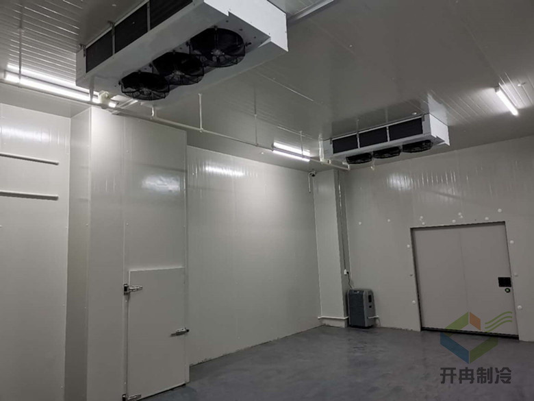 建設(shè)醫(yī)藥包裝自動化冷庫安裝，自動化冷藏庫有哪些優(yōu)點(diǎn)？
