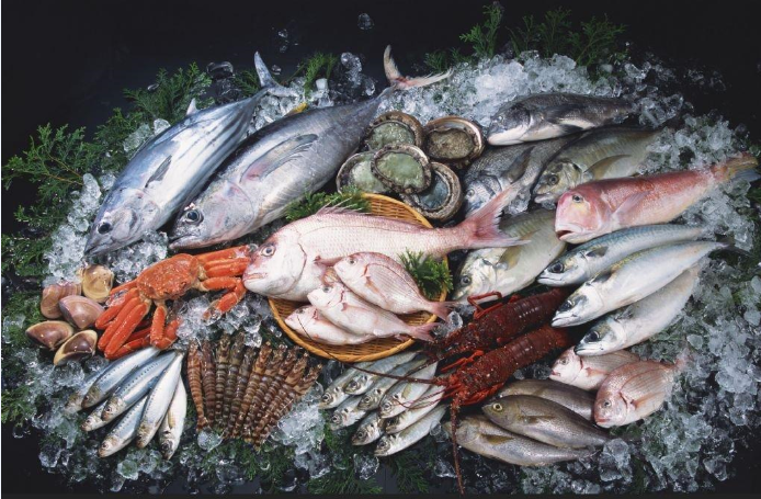零下低溫凍魚冷庫工程設(shè)計(jì)，凍魚冷庫安裝管理