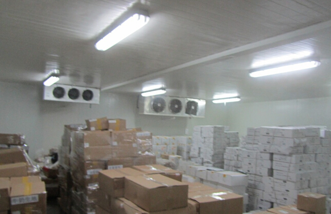 1200立方米豬肉冷凍品冷凍庫(kù)建設(shè)造價(jià)，冷凍品冷庫(kù)